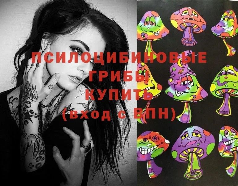 Псилоцибиновые грибы Magic Shrooms  OMG как войти  Зея 